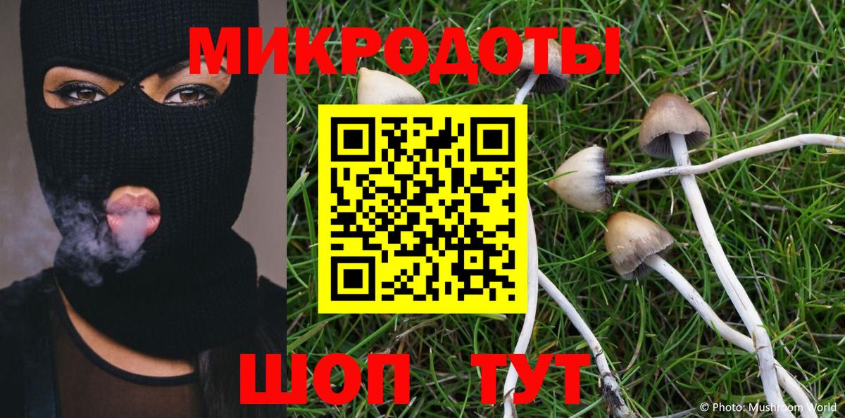 Галлюциногенные грибы GOLDEN TEACHER Гурьевск